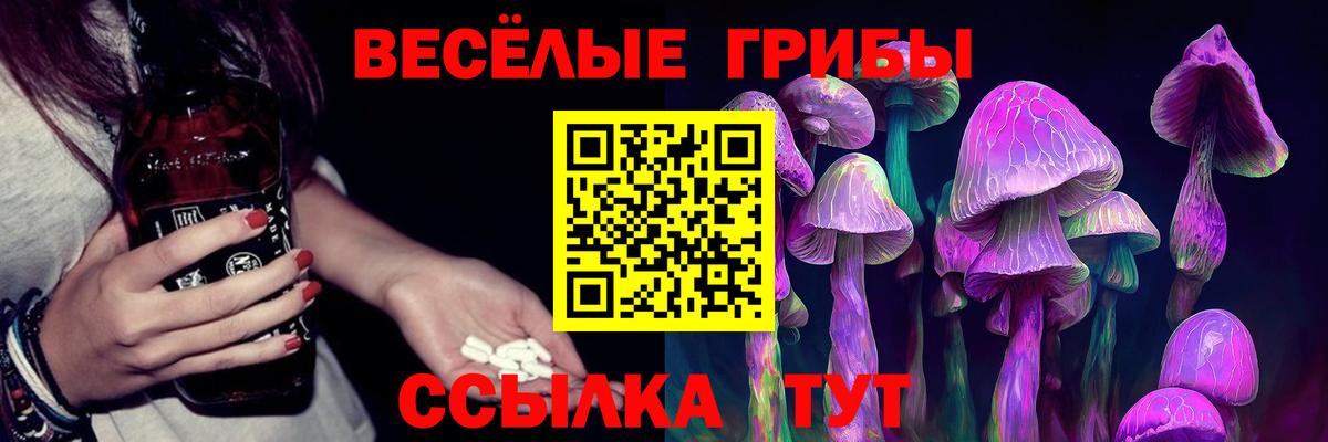 Псилоцибиновые грибы мухоморы Чехов